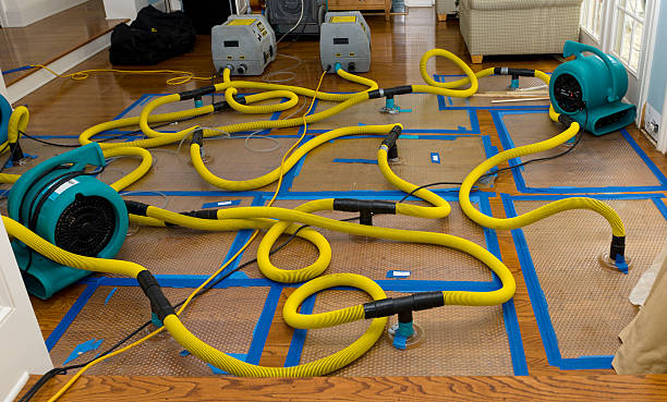 Professional Crawl Space Water Removal technician working in Candler, NC